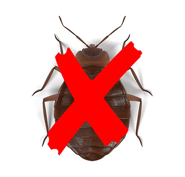 Dites STOP aux punaises de lits avec des professionnels de la détection et de désinfection.